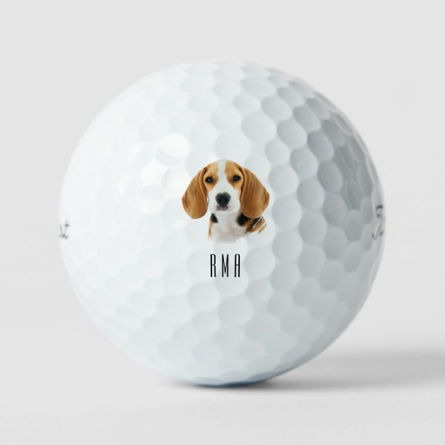 Balles De Golf Beagle (Recto)