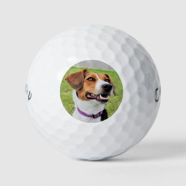 Balles De Golf Beagle (Devant)
