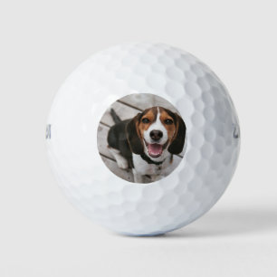 Balles De Golf Beagle_puppy assis