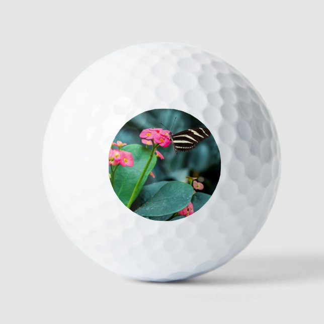 Balles De Golf Beau papillon sur une fleur rose (Recto)