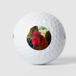 Balles De Golf Beau Rooster