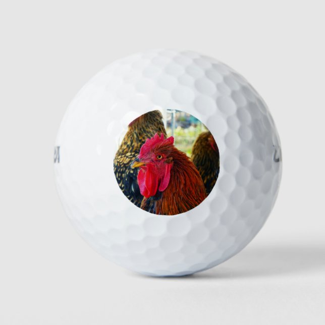 Balles De Golf Beau Rooster (Devant)