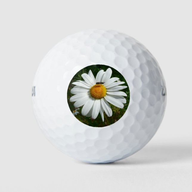 Balles De Golf Bee on Daisy Alaskan Summer Nature (Devant)