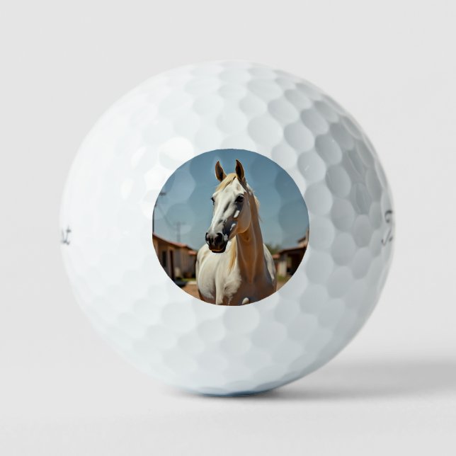 Balles De Golf Belle jument blanc américain (Recto)