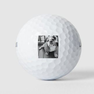 Balles De Golf Benny le bulldog