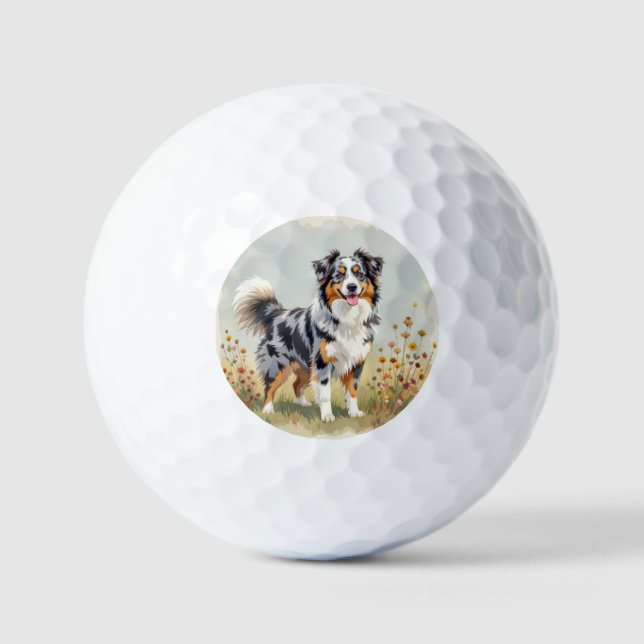 Balles De Golf Berger Australien Merle Queue Longue (Recto)