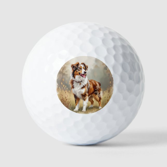 Balles De Golf Berger Australien Red Merle Aussie (Recto)