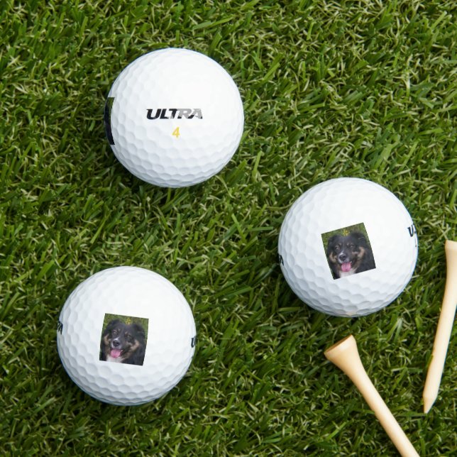 Balles De Golf berger australien tri noir (Herbe in situ)
