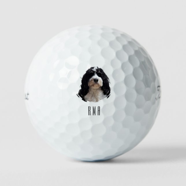 Balles De Golf Bernedoodle (Recto)