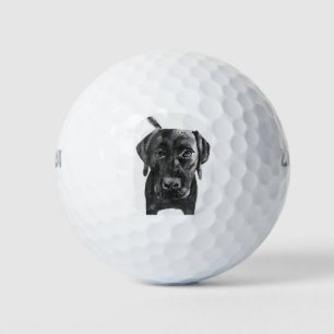 Balles De Golf Black Lab Labrador Dog Golf Ball