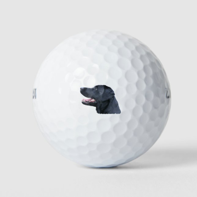 Balles De Golf Black Labrador (Devant)