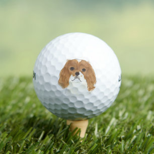 Balles De Golf Blenheim Cavalier King Charles Spaniel