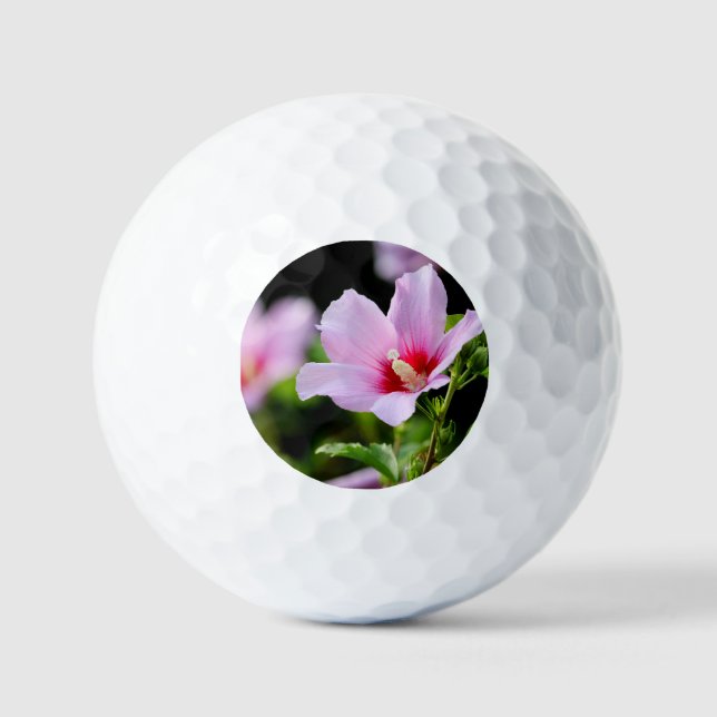 BALLES DE GOLF BLOM DE FLEURS (Recto)