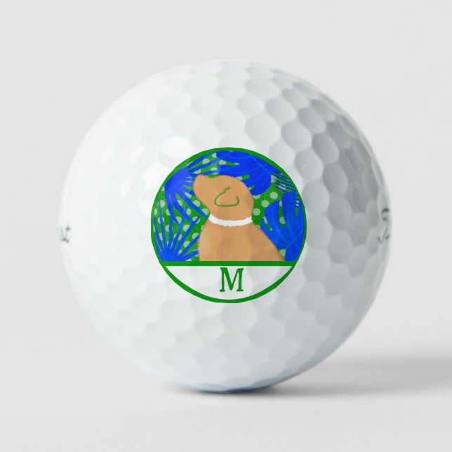 Balles De Golf Blue Green Island Yellow Dog Golf Ball (Recto)