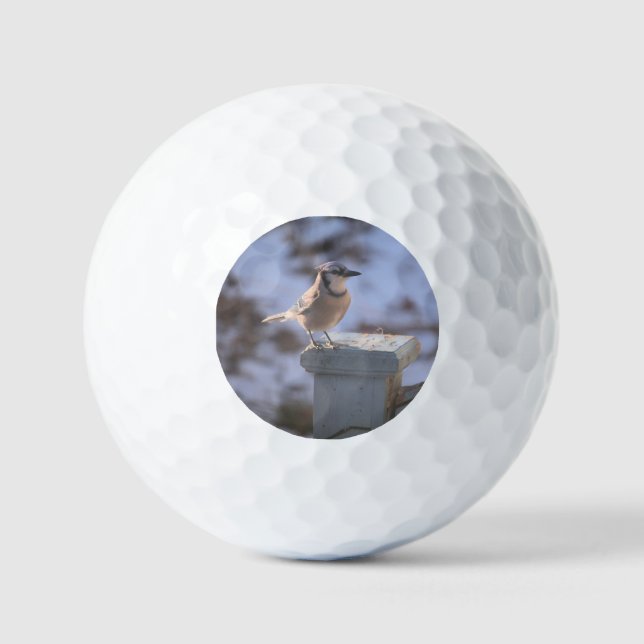 Balles De Golf Blue Jay (Recto)