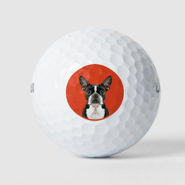 Balles De Golf Boston Terrier Pet Thème (Devant)