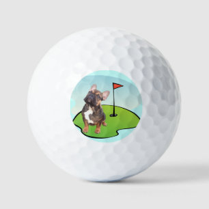 Balles De Golf Bouledogue français terrain de golf Bouledogue fra