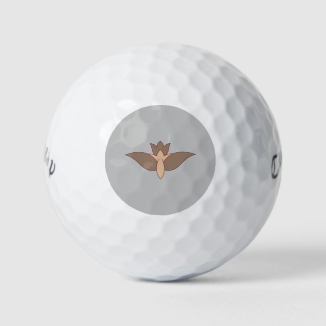 Balles De Golf Boules de golf (Devant)