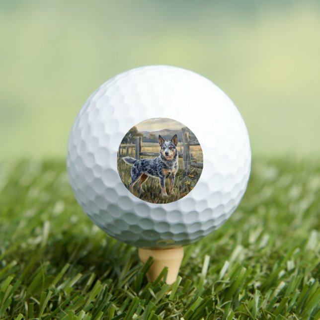Balles De Golf Bouvier Australien (T-shirt Insitu)