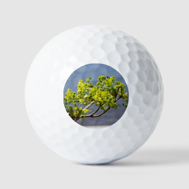 Balles De Golf Branche verte mignonne dans le vent (Recto)