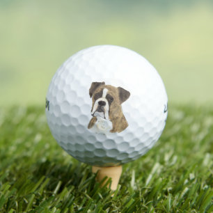 Balles De Golf Brindle et chien blanc de la boîte
