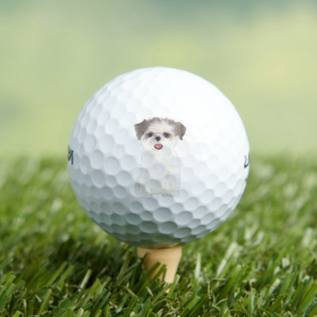 Balles De Golf Brown et blanc Shih Tzu (T-shirt Insitu)