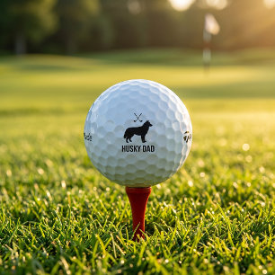 Balles De Golf Cadeau TP5 Balls pour papa golfeur avec Husky sibé