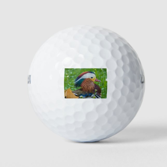 Balles De Golf Canard mandarin (Devant)