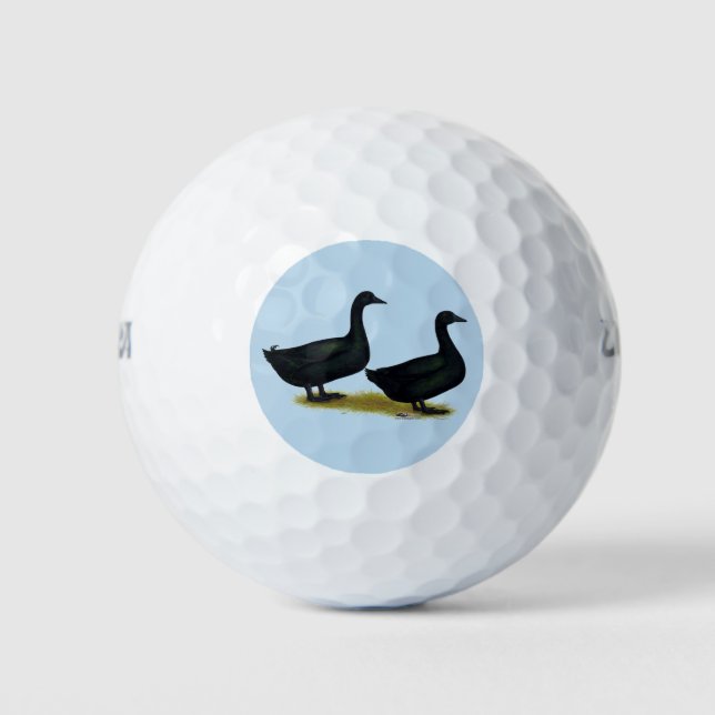 Balles De Golf Canards : Cayugas noirs (Devant)