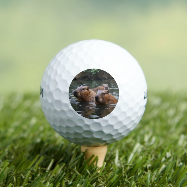Balles De Golf Capybaras Nageant Dans La Rivière,  (T-shirt Insitu)