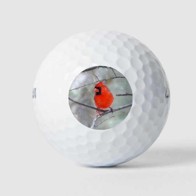 Balles De Golf Cardinal dans la neige (Devant)