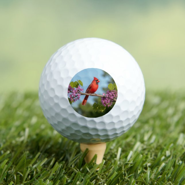 Balles De Golf Cardinal sur une branche de Redbud (T-shirt Insitu)