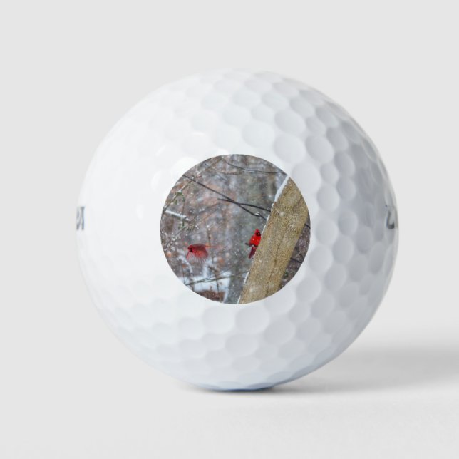 Balles De Golf Cardinaux dans la neige (Devant)