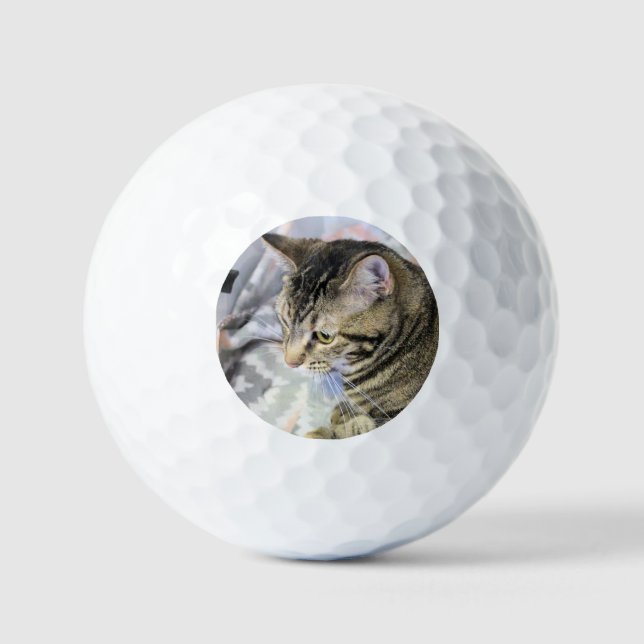 Balles De Golf Cat (Recto)