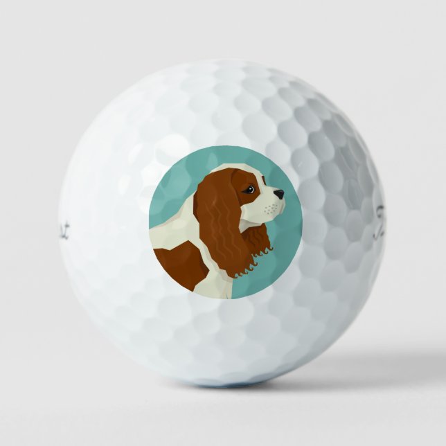 Balles De Golf  Cavalier King Charles Spaniel (Recto)