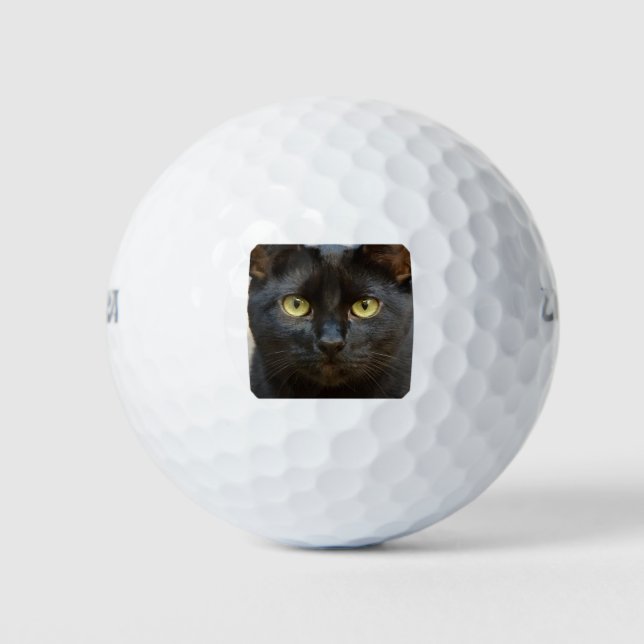 Balles De Golf chat noir (Devant)