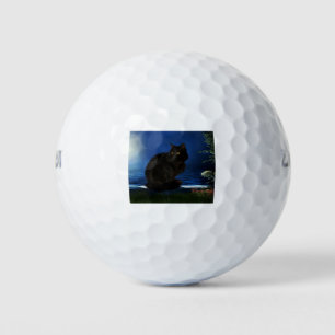 Balles De Golf Chat noir chat animal domestique noir