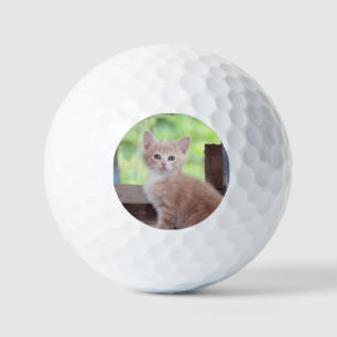 Balles De Golf Chaton