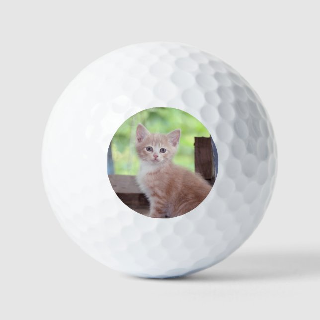 Balles De Golf Chaton (Recto)
