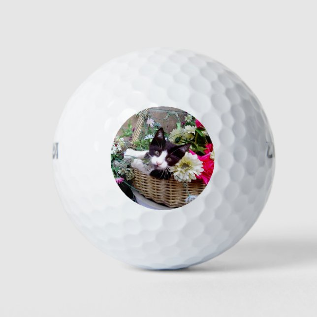 Balles De Golf Chaton dans un panier (Devant)