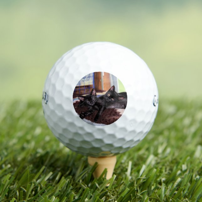 Balles De Golf Chatons (T-shirt Insitu)