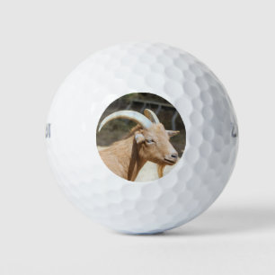 Balles De Golf Chèvre