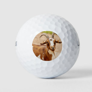 Balles De Golf Chèvre Brown et chèvre blanche