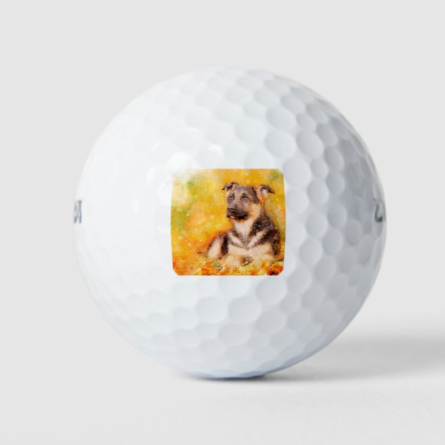 Balles De Golf Chien de berger allemand chiot (Devant)