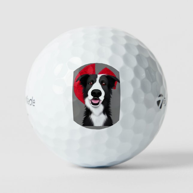 Balles De Golf chien de berger bc ai 1 (Recto)