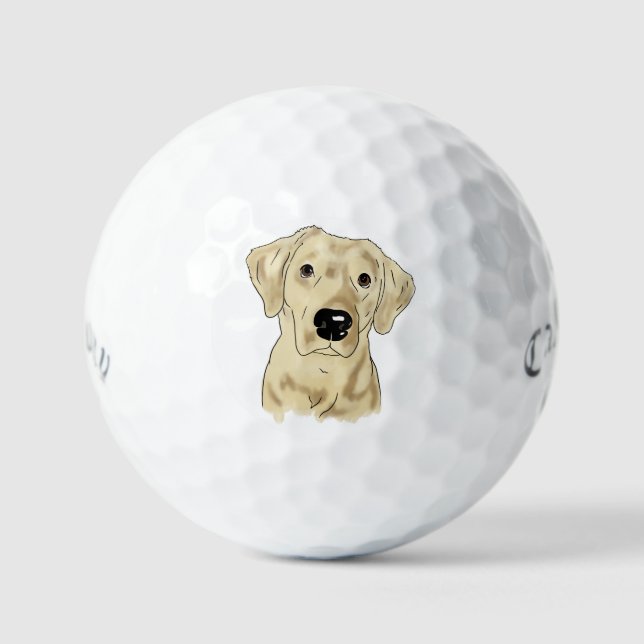 Balles De Golf Chien de laboratoire jaune (Recto)
