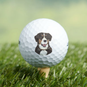 Balles De Golf Chien de montagne Entlebucher