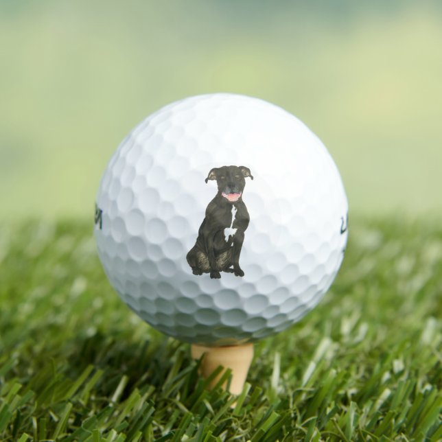 Balles De Golf Chien noir Pitbull (T-shirt Insitu)