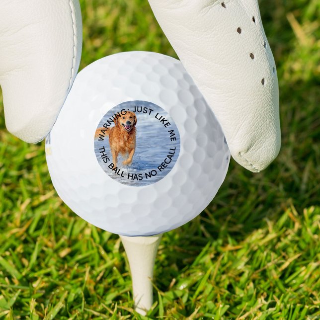 Balles De Golf Chien Papa Ça N'A Pas De Rappel Drôle Photo (Créateur téléchargé)