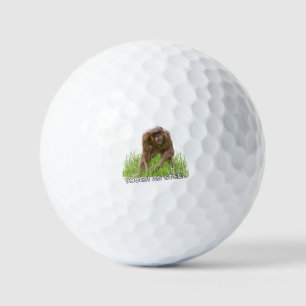 Balles De Golf Chimie Sans Cheveux Dur En Acier